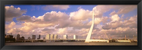 Framed Netherlands, Holland, Rotterdam, Erasmus Bridge Print