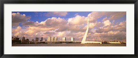 Framed Netherlands, Holland, Rotterdam, Erasmus Bridge Print