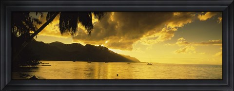 Framed Silhouette Of Palm Trees At Dusk, Cooks Bay, Moorea, French Polynesia Print