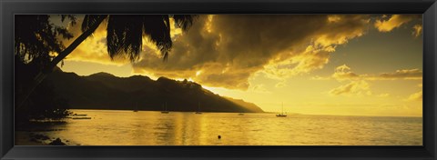 Framed Silhouette Of Palm Trees At Dusk, Cooks Bay, Moorea, French Polynesia Print