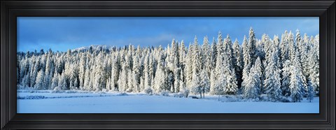 Framed Winter Wawona Meadow Yosemite National Park CA USA Print