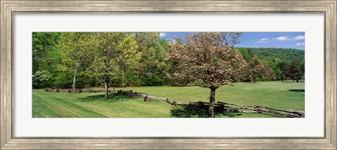 Framed Trees on a field, Davidson River Campground, Pisgah National Forest, Brevard, North Carolina, USA Print