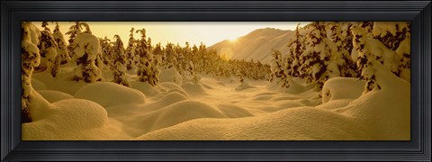 Framed Sunset, Turnagain Pass, Alaska, USA Print