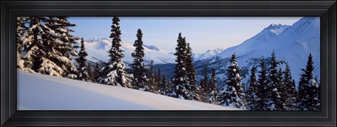 Framed Winter Chugach Mountains AK Print