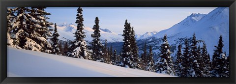 Framed Winter Chugach Mountains AK Print