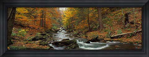 Framed Fall Trees Kitchen Creek PA Print