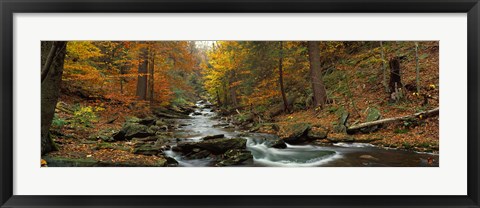 Framed Fall Trees Kitchen Creek PA Print