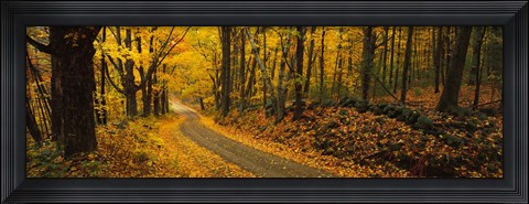 Framed Fall woods Monadnock NH USA Print