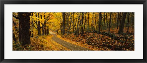 Framed Fall woods Monadnock NH USA Print