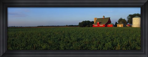 Framed Farm Fields Stelle IL USA Print