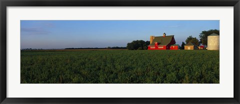 Framed Farm Fields Stelle IL USA Print