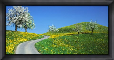 Framed Winding Road Canton Switzerland Print