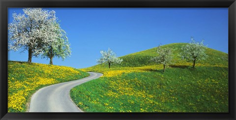 Framed Winding Road Canton Switzerland Print