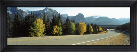 Framed Road Alberta Canada Print