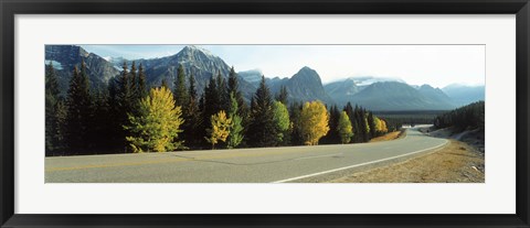 Framed Road Alberta Canada Print