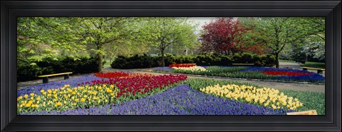 Framed Keukenhof Gardens, Lisse, Netherlands Print