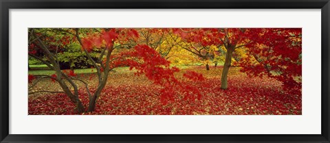 Framed Westonburt Gloucestershire England Print