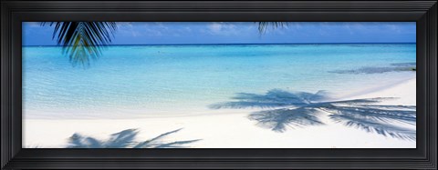 Framed Palm shadows, Laguna Maldives Print