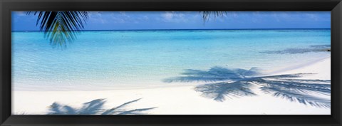 Framed Palm shadows, Laguna Maldives Print