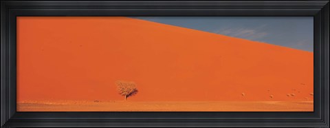 Framed Single tree in desert Namibia Print