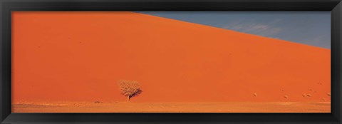 Framed Single tree in desert Namibia Print