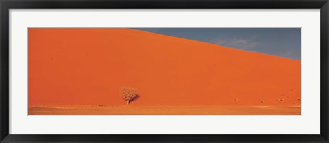 Framed Single tree in desert Namibia Print