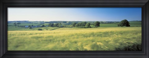 Framed Field Near Barnstaple, North Devon, England, United Kingdom Print