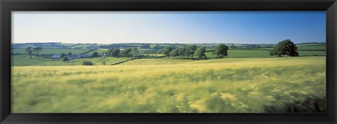 Framed Field Near Barnstaple, North Devon, England, United Kingdom Print