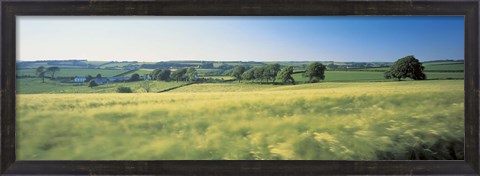 Framed Field Near Barnstaple, North Devon, England, United Kingdom Print
