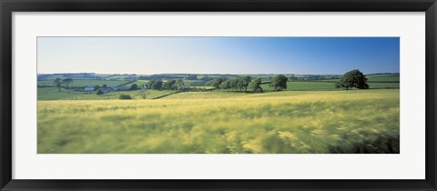 Framed Field Near Barnstaple, North Devon, England, United Kingdom Print