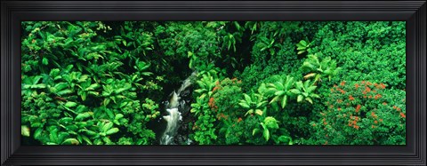 Framed Hamakua Coast, Hawaii, Hawaii, USA Print