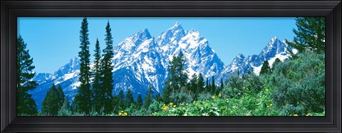 Framed Snow covered peaks, Grand Teton National Park WY Print