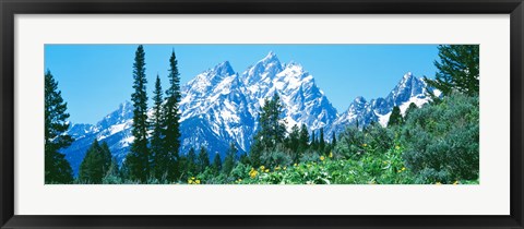 Framed Snow covered peaks, Grand Teton National Park WY Print