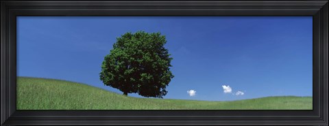 Framed View Of A Lone Tree On A Hillside In Summer Print