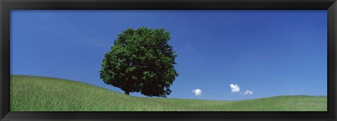 Framed View Of A Lone Tree On A Hillside In Summer Print