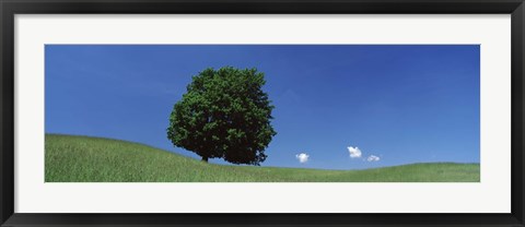 Framed View Of A Lone Tree On A Hillside In Summer Print