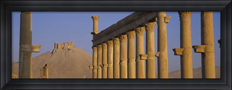 Framed Low angle view of Great Colonnade, Palmyra, Syria Print