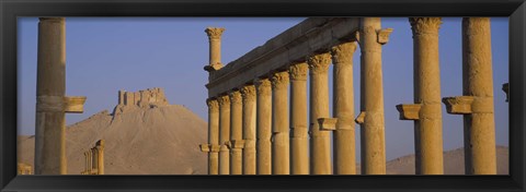 Framed Low angle view of Great Colonnade, Palmyra, Syria Print