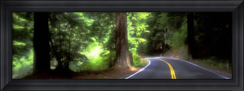 Framed Road, Redwoods, Mendocino County, California, USA Print