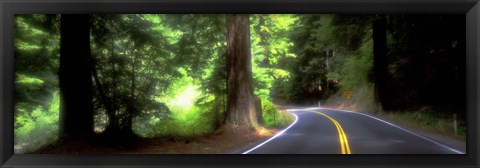 Framed Road, Redwoods, Mendocino County, California, USA Print