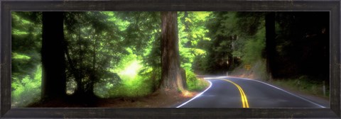 Framed Road, Redwoods, Mendocino County, California, USA Print