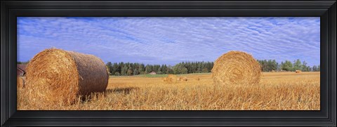 Framed Straw Rolls, Sweden Print