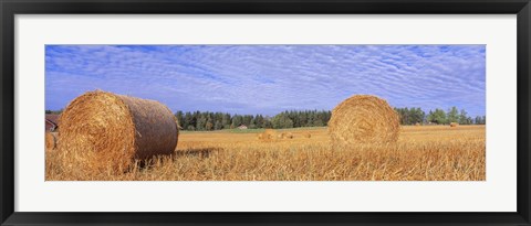 Framed Straw Rolls, Sweden Print