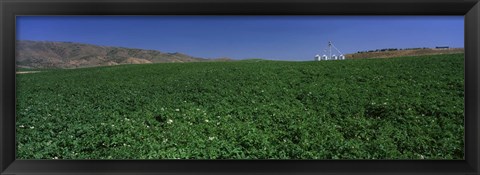 Framed USA, Idaho, Burley, Potato field surrounded by mountains Print