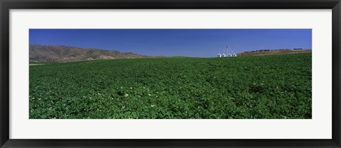 Framed USA, Idaho, Burley, Potato field surrounded by mountains Print