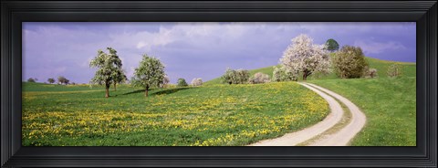 Framed Meadow Of Dandelions, Zug, Switzerland Print