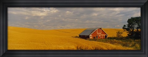 Framed Barn in a wheat field, Palouse, Washington State, USA Print