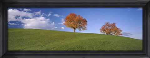 Framed Cherry Trees On A Hill, Cantone Zug, Switzerland Print