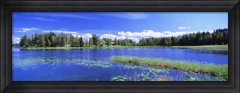 Framed Lakelands, Finland Print