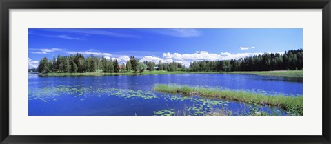 Framed Lakelands, Finland Print